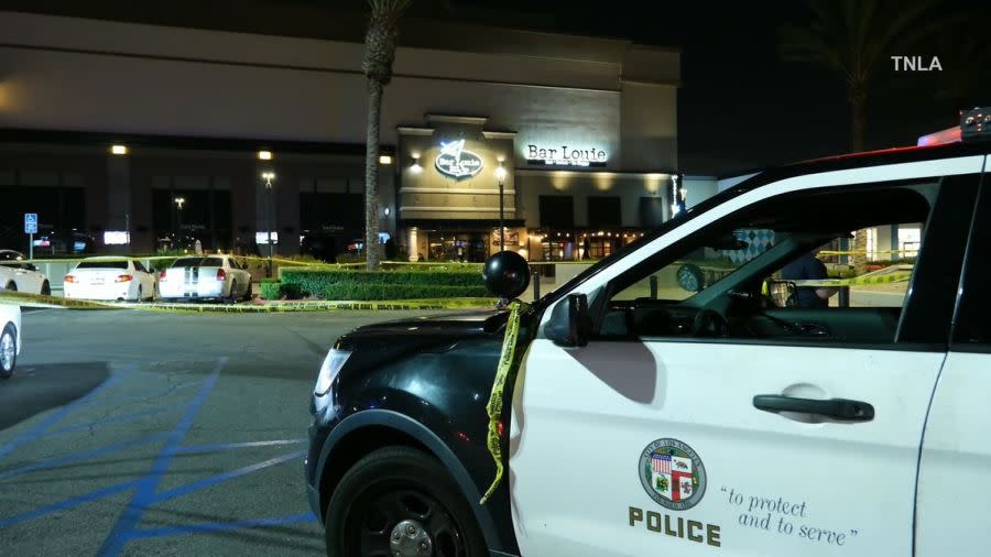 At least six juveniles were detained after gunfire erupted at a crowded Northridge shopping mall on Nov. 24, 2023. (TNLA)