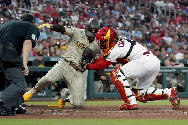 Catching History: How a Lucky Padres Fan Landed Juan Soto's 1st San Diego  Home Run Ball – NBC 7 San Diego