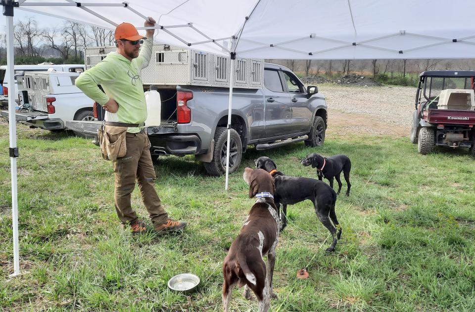 Brandon Tarquinio of Coal Center, Washington County, checks on his dogs during the Bill Roff  Memorial Chukar Championship in Fayette County. 