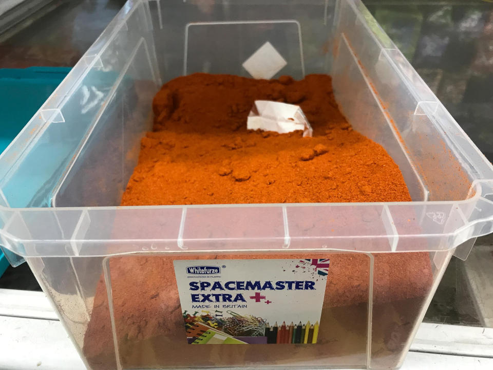 Chilli powder was kept under the counter( Picture: SWNS)