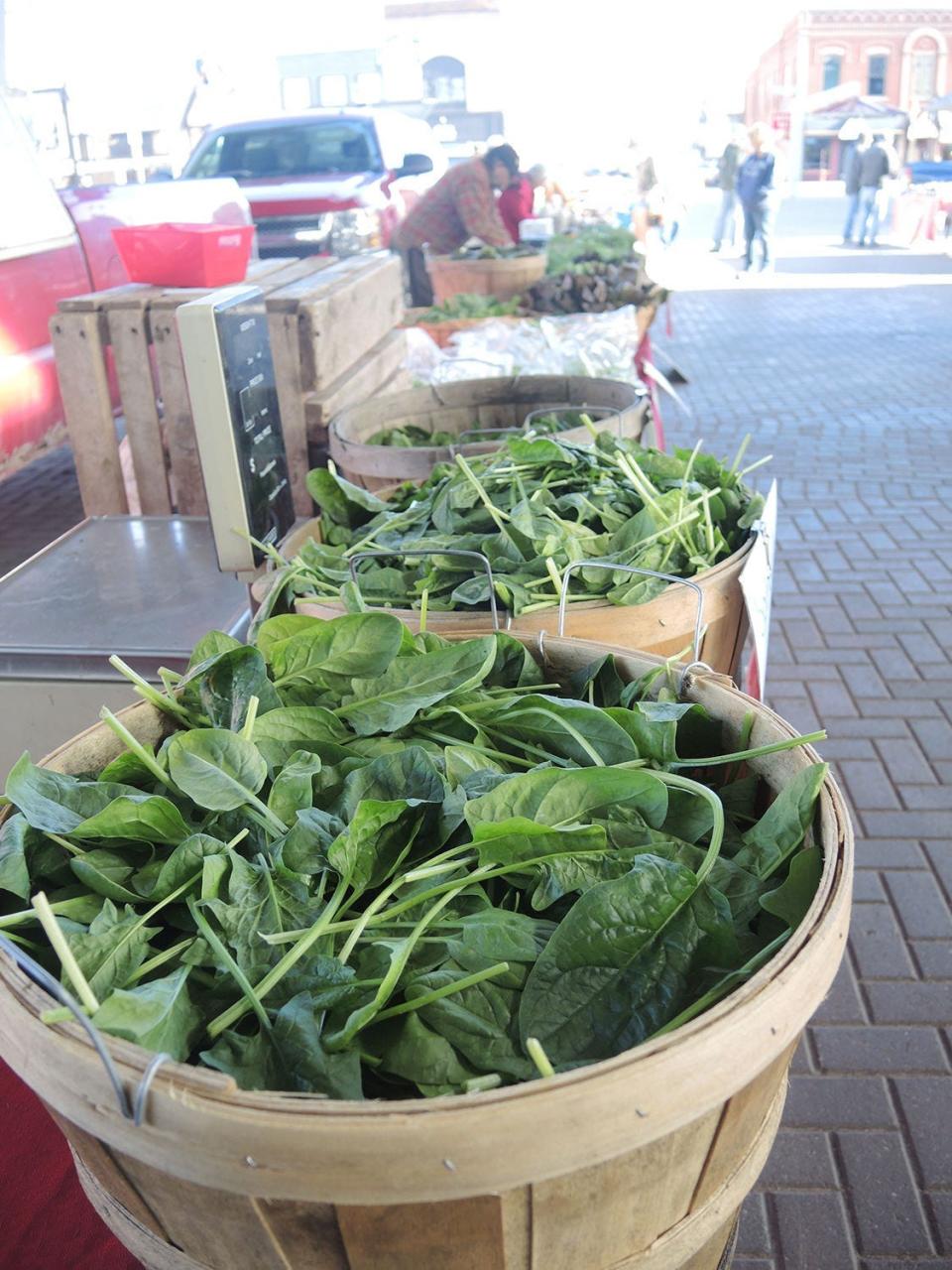 The downtown Gaylord Farmers Market in the pavilion on Court Street reopened for the season on May 28 and will occur every Saturday until October.
