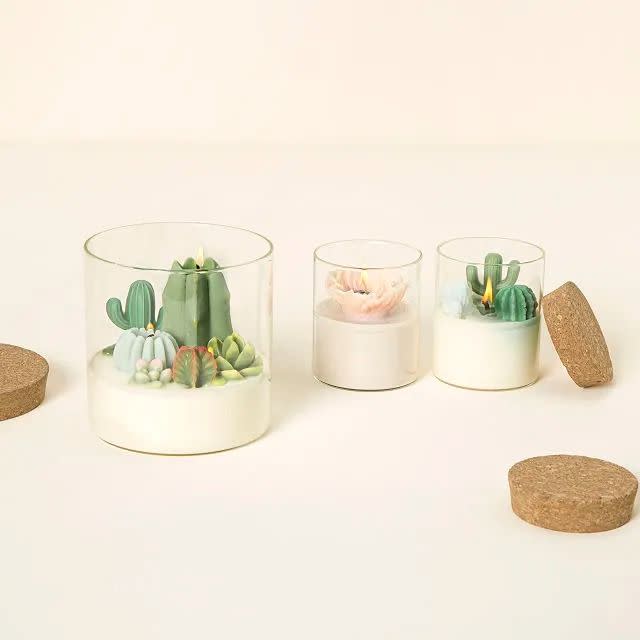 <p><a href="https://go.redirectingat.com?id=74968X1596630&url=https%3A%2F%2Fwww.uncommongoods.com%2Fproduct%2Fterrarium-candle&sref=https%3A%2F%2Fwww.goodhousekeeping.com%2Fholidays%2Fgift-ideas%2Fg40909674%2Fgifts-for-women-in-their-20s%2F" rel="nofollow noopener" target="_blank" data-ylk="slk:Shop Now;elm:context_link;itc:0;sec:content-canvas" class="link ">Shop Now</a></p><p>Terrarium Candle</p><p>uncommongoods.com</p><p>$26.00</p>
