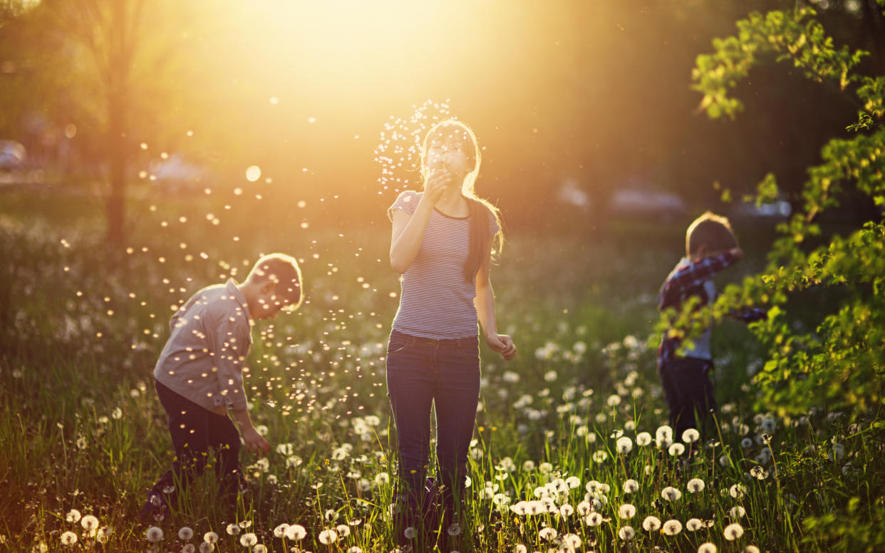 Hayfever