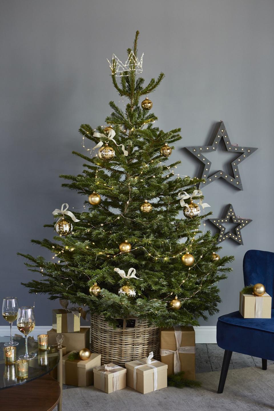 1) Large Nordman Fir Christmas Tree, £24.99