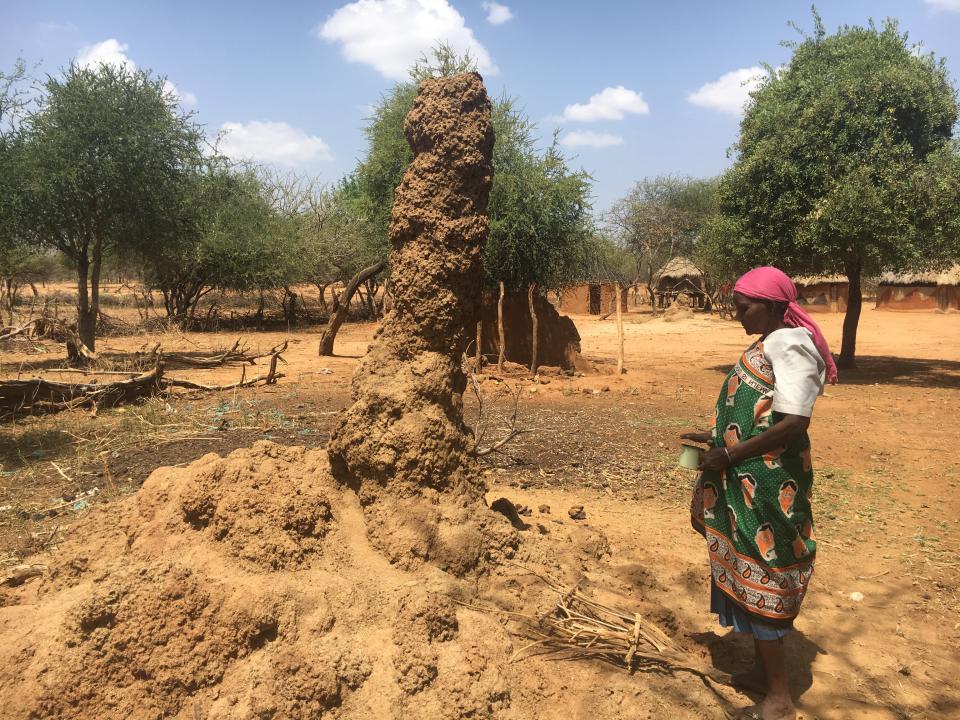 Selina Chepserum nearly lost her sight to trachoma several years ago. Here, she stands in front of a termite mound, ready to harvest insects for food.<i><br /></i> (Photo: Hannah McNeish)