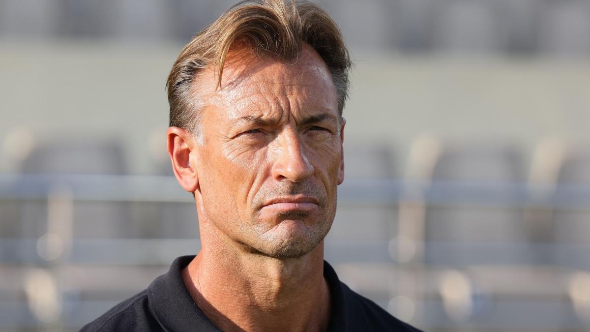 Oczekuje się, że Hervé Renard zagra w reprezentacji Francji kobiet po swojej rezygnacji w Arabii Saudyjskiej