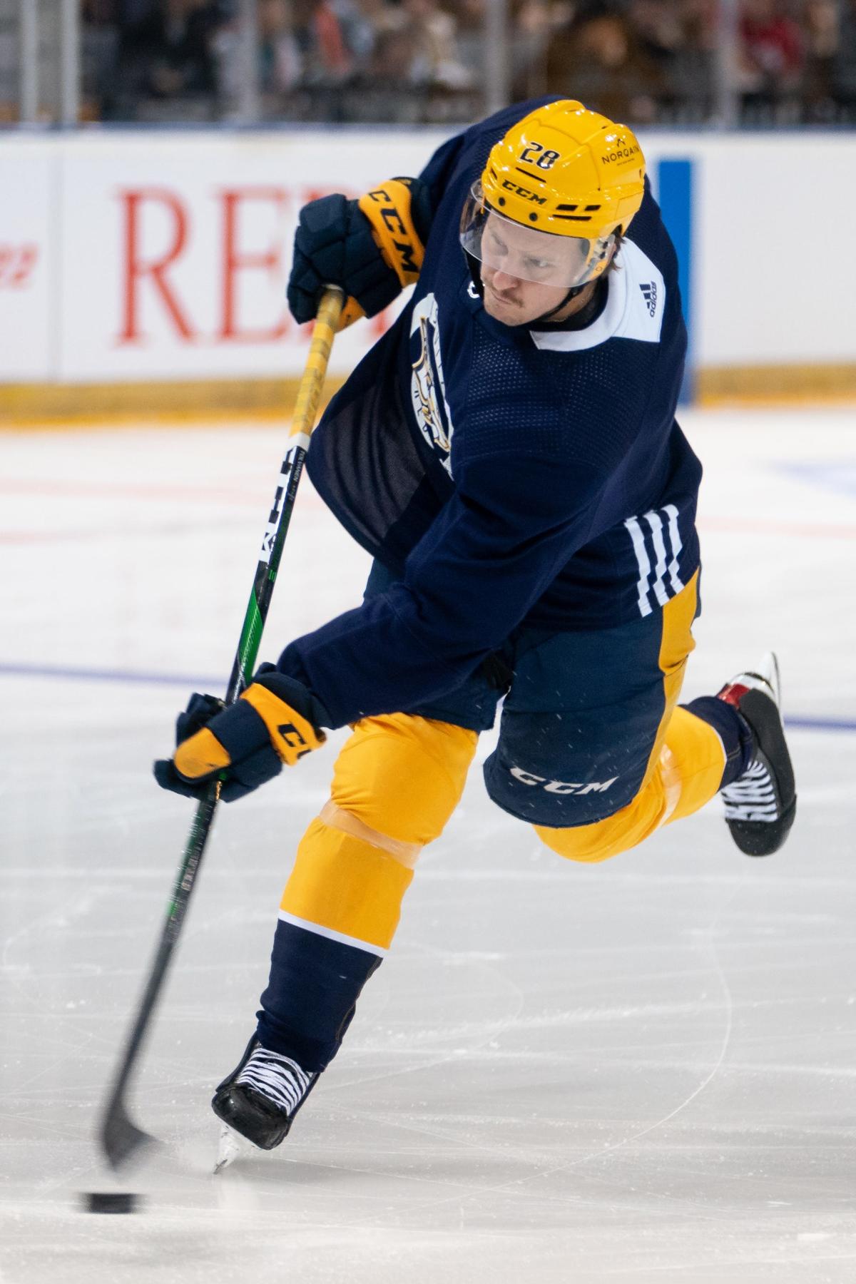 Nashville Predators Michael McCarron in NHL players assistance program