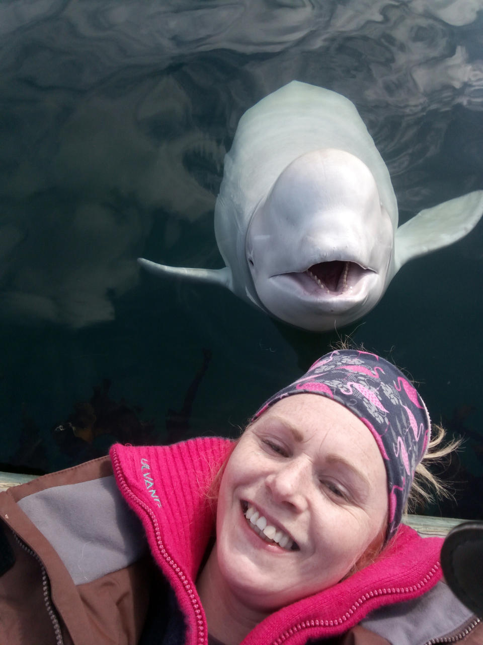 In this photo taken on Monday, April 29, 2019, Linn Saether poses with a beluga whale, days after a fisherman removed a harness with a mount for camera from the mammal, in Tufjord, Norway. A beluga whale found in Arctic Norway with a tight harness that is believed to have links to a military facility in Russia is so tame that it allows locals to pet the mammal on its nose, resident Linn Saether said Tuesday. The white whale has been frolicking in the frigid harbor of Tufjord, a hamlet near Norway's northernmost point, and has become a local attraction. (Linn Saether via AP)