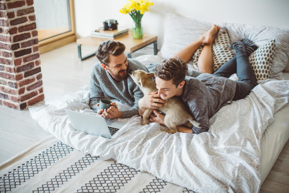 Young gay couple lay in bad with their little puppy. They are using computer and drinking coffee, while share love with their little friend.