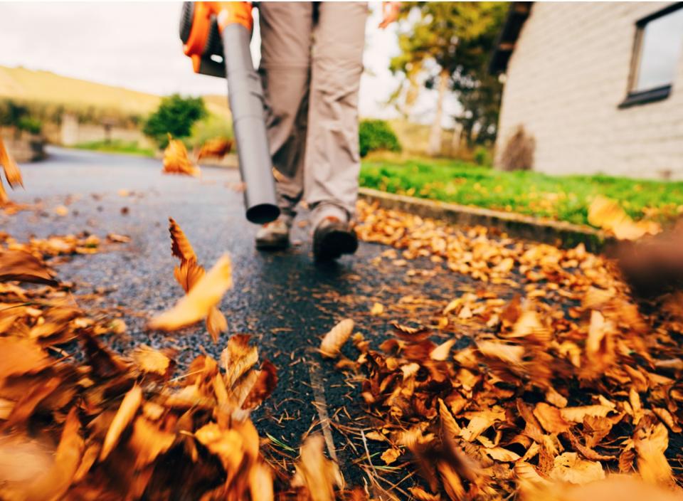 Do all your fall leaf cleaning with this handy blower. (Source: iStock)