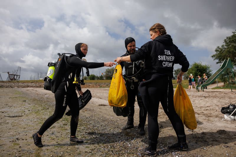 The Wider Image: In Baltic Sea, citizen divers restore seagrass to fight climate change