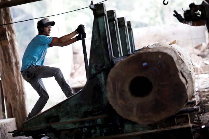 A sawmill worker processes trees extracted from the Amazon rainforest near Humaita