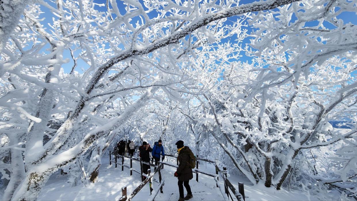 Visitors enjoy a snowy landscape after a recent snowfall of 20 centimeters in Mount Deokyu National Park in Muju, North Jeolla Province, South Korea (EPA)