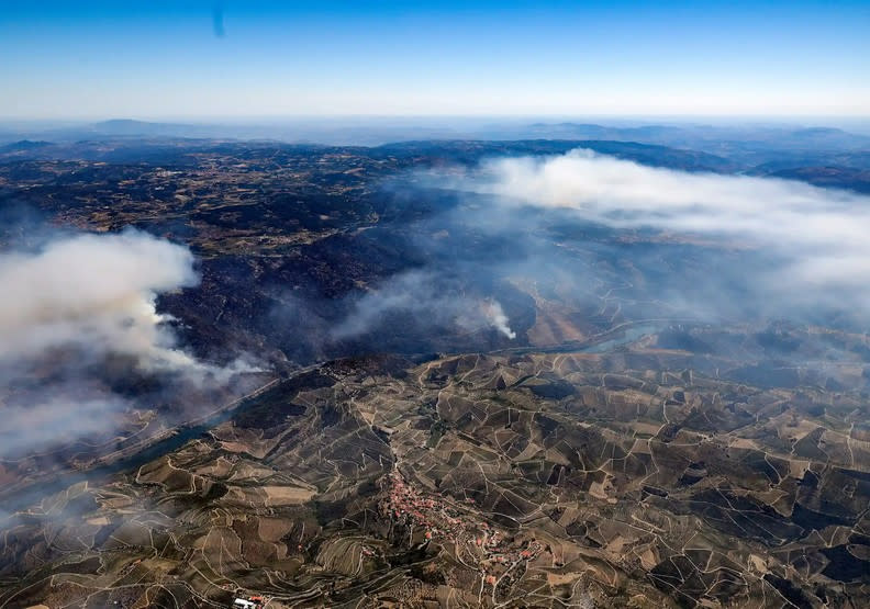 葡萄牙野火蔓延，幾乎整個山頭都成了灰燼。theguardian