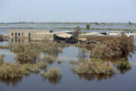 Homes are surrounded by floodwaters in Qambar Shahdadkot district of Sindh Province, of Pakistan, Friday, Sep. 2, 2022. Planes carrying fresh supplies are surging across a humanitarian air bridge to flood-ravaged Pakistan as the death toll surged past 1,200, officials said Friday, with families and children at special risk of disease and homelessness. (AP Photo/Fareed Khan)