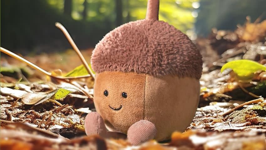 acorn jellycat