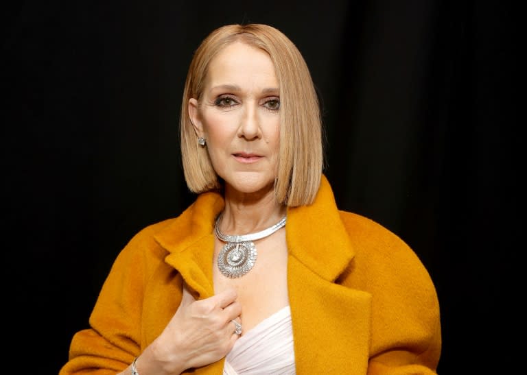 La chanteuse canadienne Céline Dion, le 4 février 2024 à Los Angeles, en Californie (Emma McIntyre)