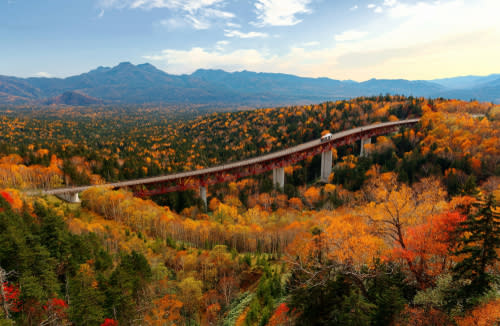 日本最早紅葉！北海道賞楓時間、必去景點一次看