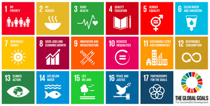 The UN’S Sustainable Development Goals aims to ‘achieve a better and more sustainable future for all’ by 2030. — Picture from un.org