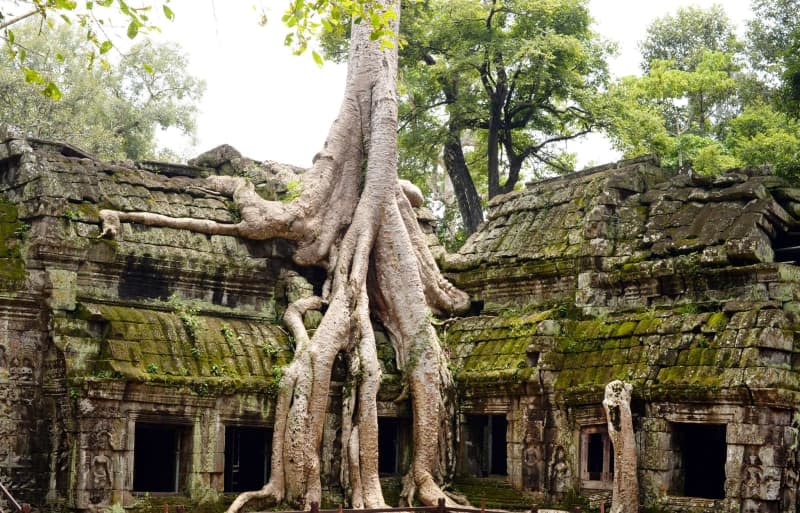 Getting from backpacker favorite Phnom Penh to the iconic ruins of Angkor Wat could be about to get easier, with Air Asia Cambodia gearing up for its first flights in May. Jens Kalaene/dpa