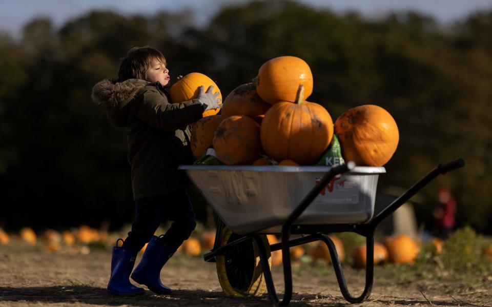 A boy fills up his wheelbarrow - Dan Kitwood 