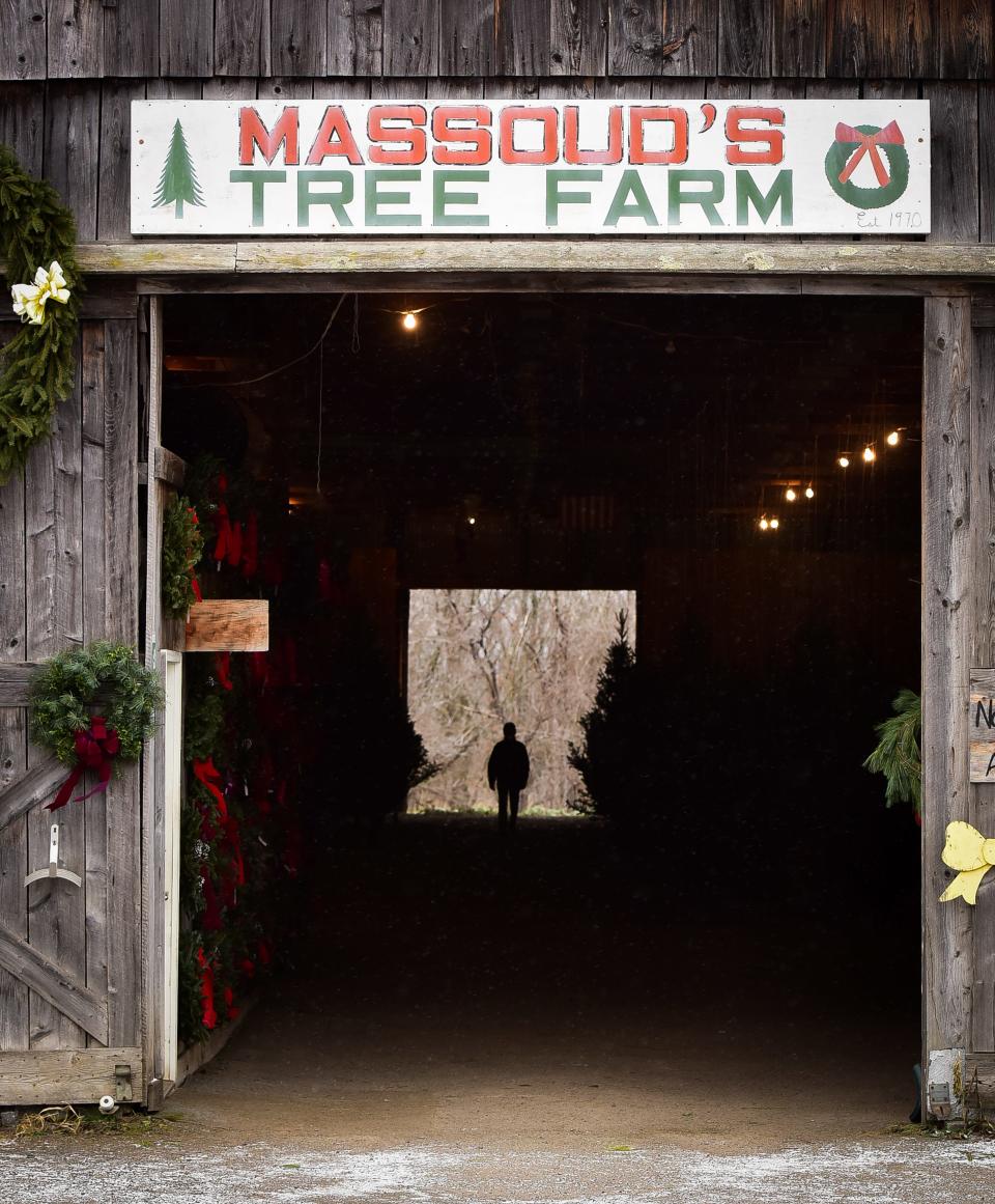 Massoud's Tree Farm in Sauquoit offers Christmas trees, traditional and custom decorated wreaths, natural to ping (garland), gift shop, decor, local syrup and honey, handmade gifts and ornaments