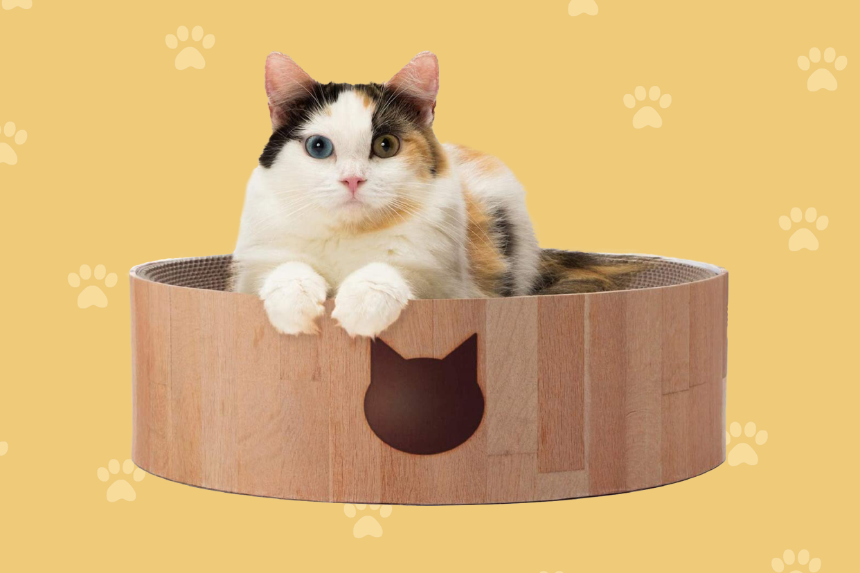 cat sitting on Necoichi cat scratcher