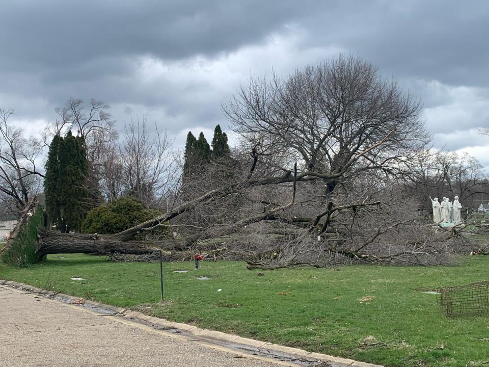 A tree at Forest Hill Cemetery in Plain Township toppled over during the storm burst that hit Stark County on Saturday afternoon.