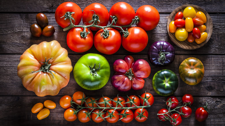 Different varieties of tomatoes