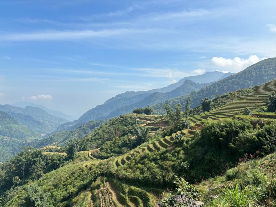 Rice fields in the mountains of Sapa, northern Vietnam