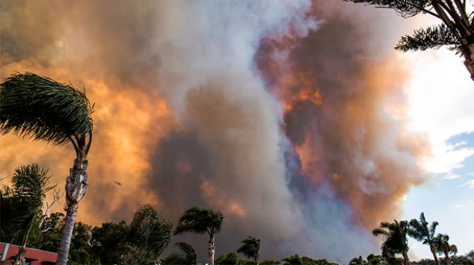 Tathra residents could only watch on and wait to find out if their homes had been engulfed in the blaze. Source: Instagram/Julesreid