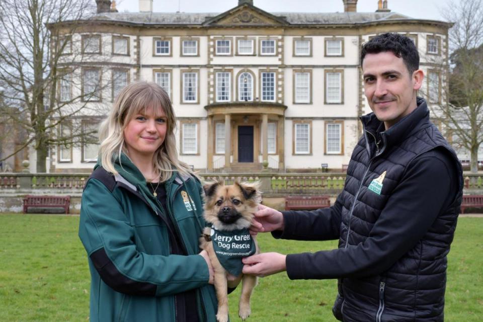 The Canine Carnival is coming to Sewerby Hall and Gardens <i>(Image: UGC)</i>