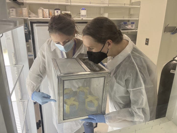 two women in masks, holding cage of mosquitos