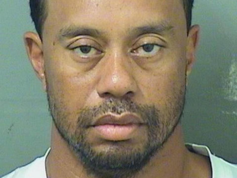 Tiger Woods has suffered one of sport's most dramatic falls from grace (Florida Police Department)