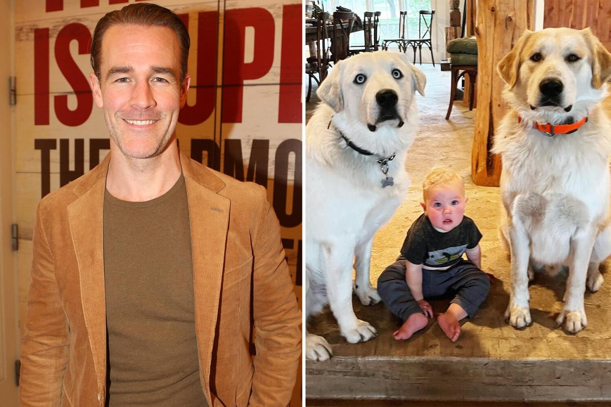 James Van Der Beek Shares Photo of Son Jeremiah, 13 Months, Sitting Between Two Family Dogs