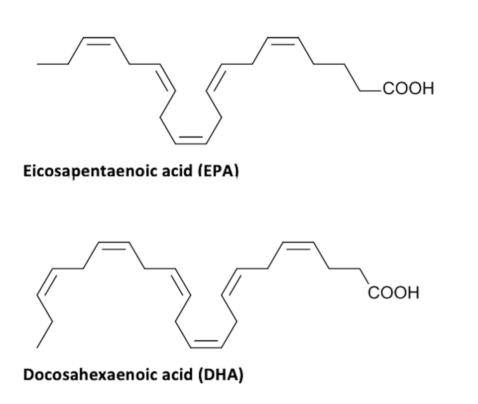 EPA and DHA are two omega-3 fatty acids particularly linked to health benefits. <a href="https://med.libretexts.org/Courses/Allan_Hancock_College/Introduction_to_Nutrition_Science_(Bisson_et._al)/07%3A_Lipids/7.04%3A_Fatty_Acid_Types_and_Food_Sources" rel="nofollow noopener" target="_blank" data-ylk="slk:Minutemen/Wikimedia Commons via LibreTexts;elm:context_link;itc:0;sec:content-canvas" class="link ">Minutemen/Wikimedia Commons via LibreTexts</a>