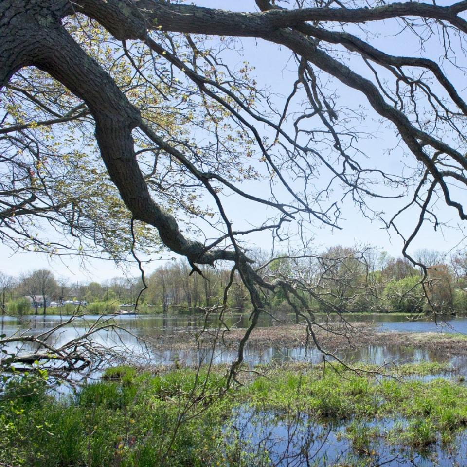 Mill Pond in Acushnet is home to The Sawmill, a reservation created by the Buzzards Bay Coalition.