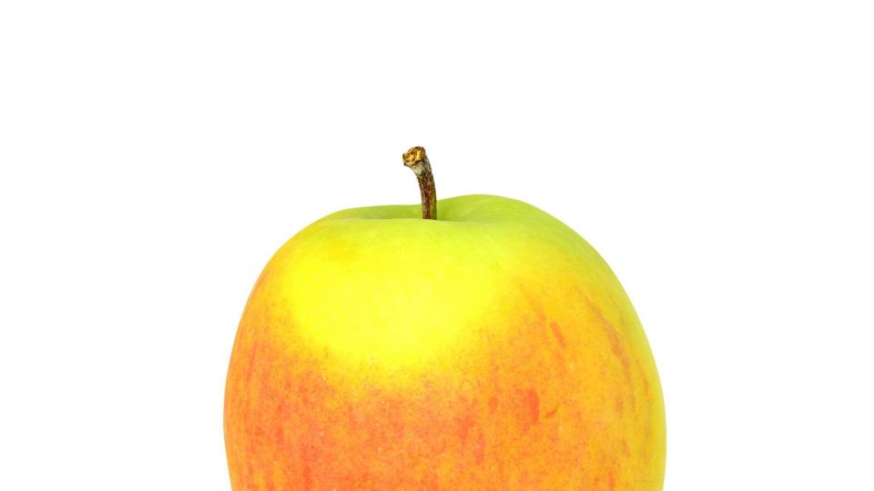 apple picking - no touts