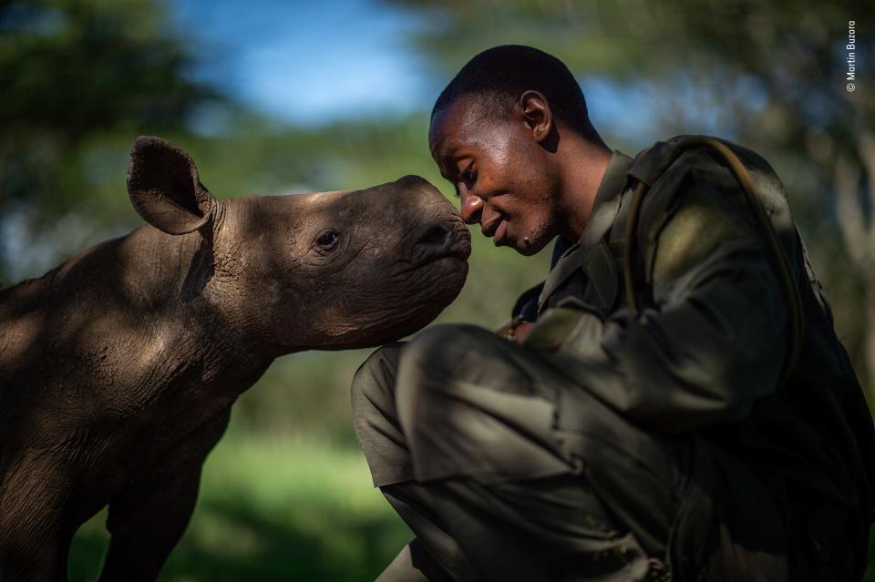 © Martin Buzora   Wildlife Photographer of the Year