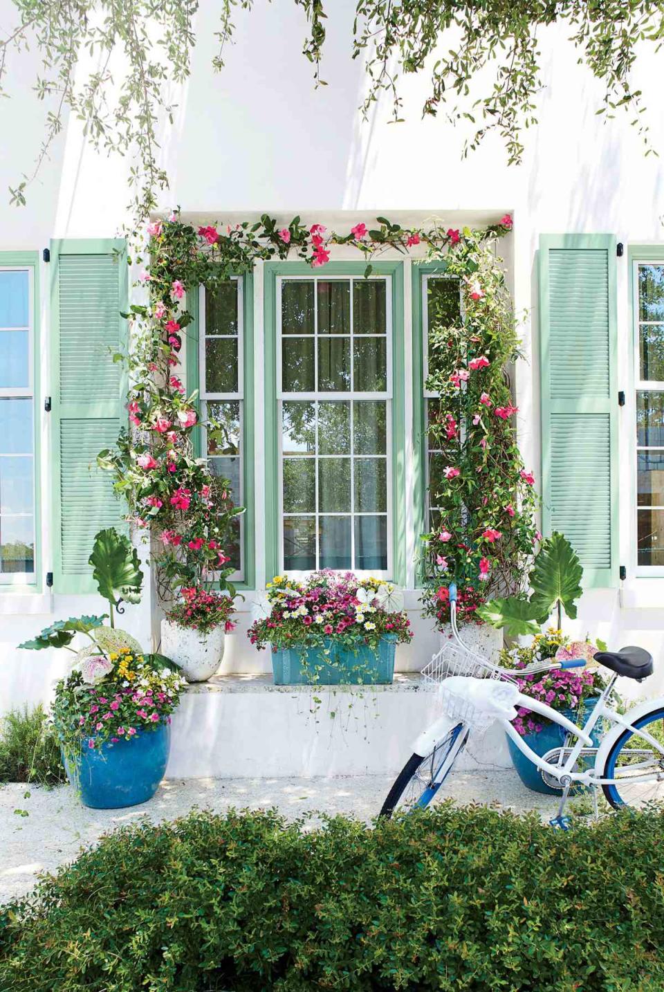 Frame a Window with Blooms