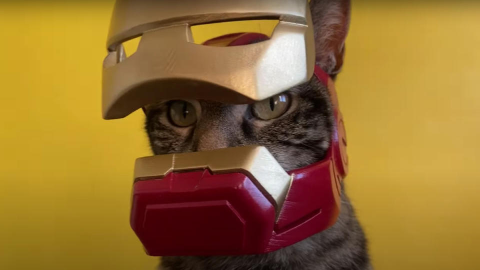A cat wearing a functional Iron Man helmet, staring into the camera.