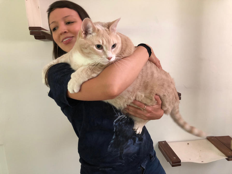 Bronson with one of his new owners, Megan Hanneman (Picture: Caters)