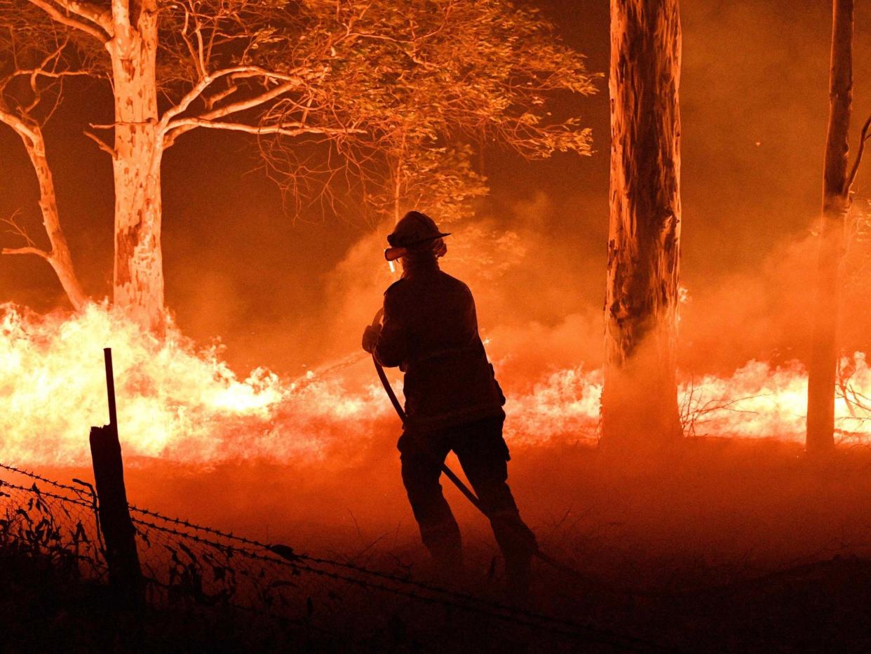 A firefighter hosing down trees and flying embers to try to save nearby houses from bushfires in New South Wales: AFP via Getty Images