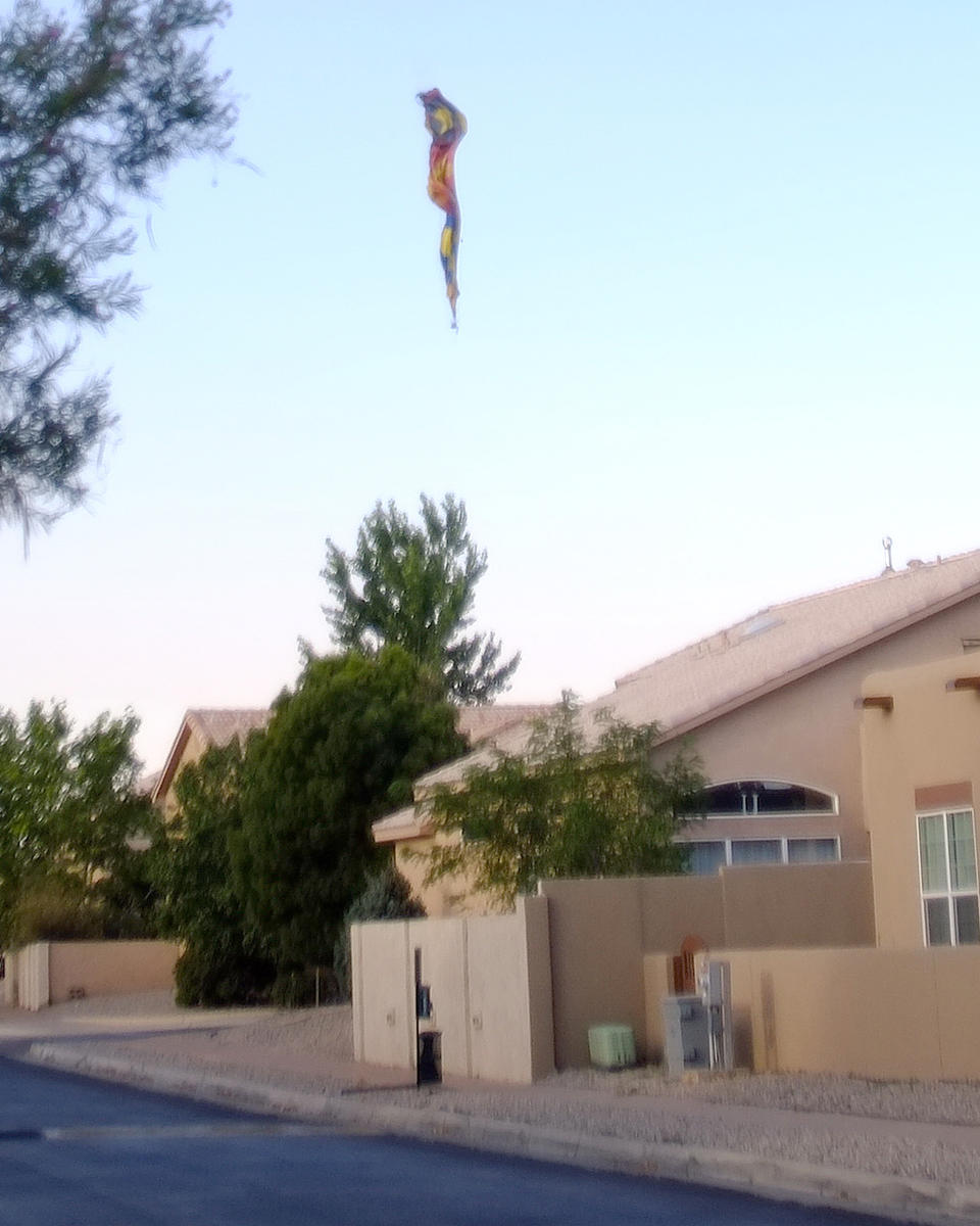 At least four people were killed and one was critically injured after a hot air balloon crashed in Albuquerque, N.M., on Saturday. (Adolphe Pierre-Louis / Albuquerque Journal)