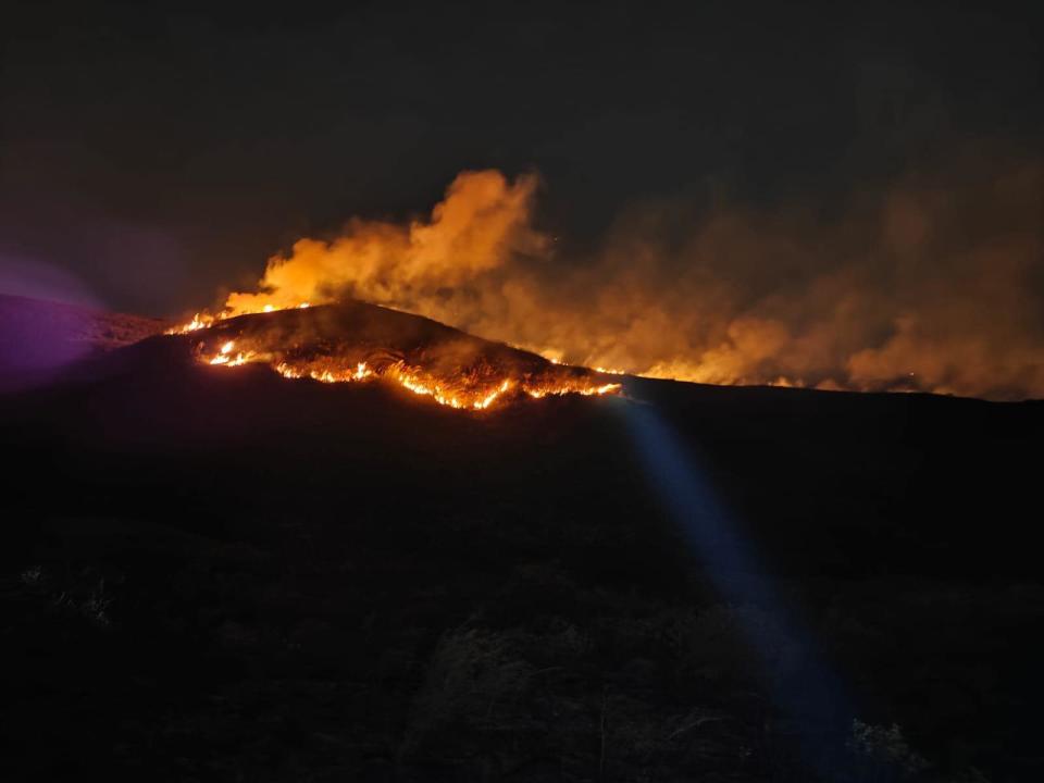 元朗石塘村山火
逾5小時未救熄　消防正滅火