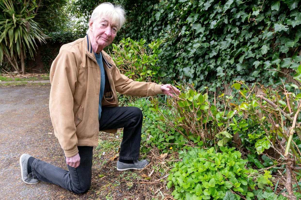 Resident Ian Morris with the remains of the garden which he says has been destroyed by the contracted grounds team. (SWNS)