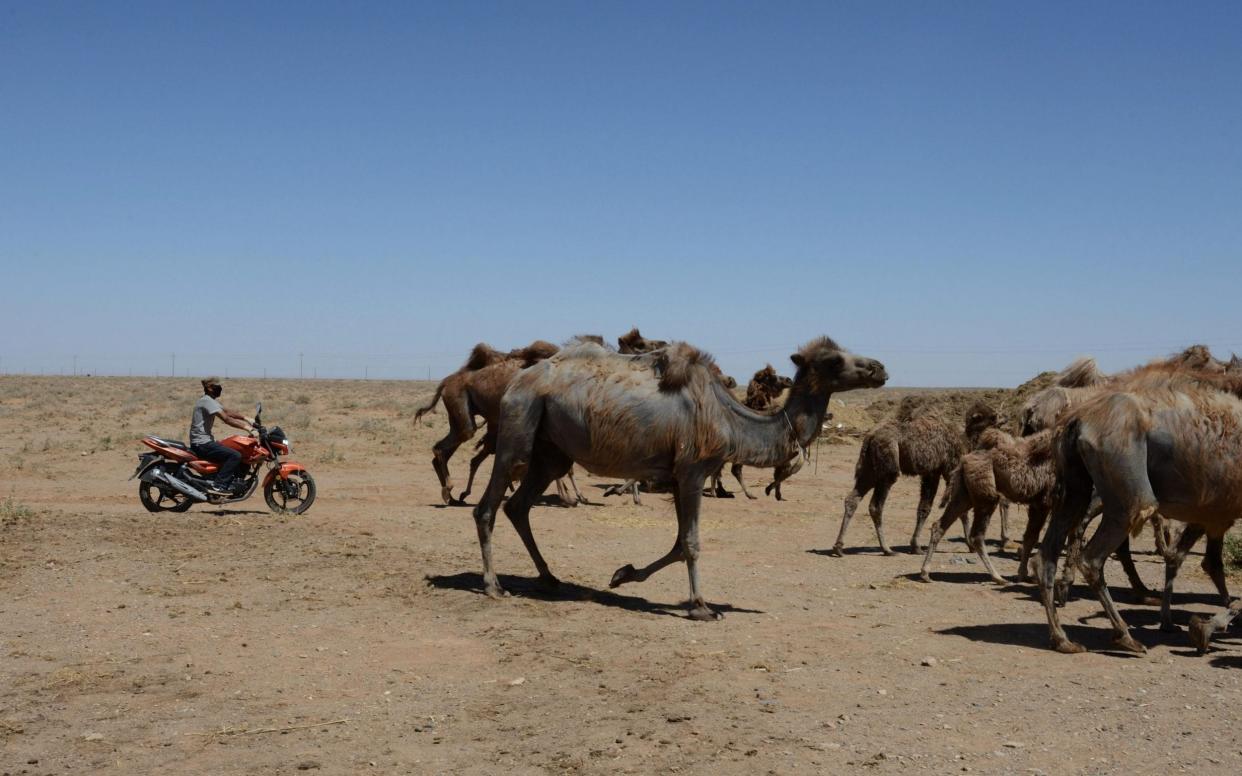 The health committee of the city of Bayan Nur issued the alert  - China News Service