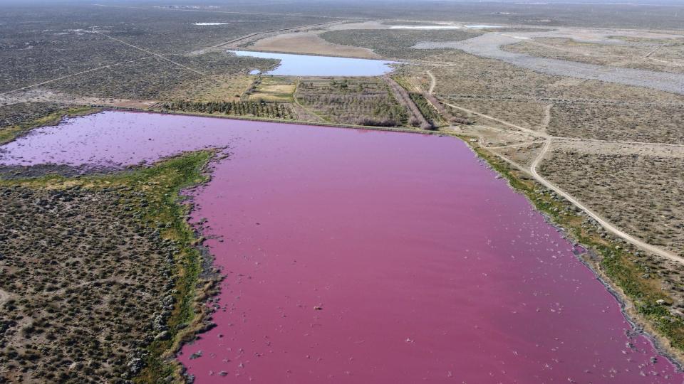 The waters of the Corfo lagoon are pink in Trelew, Chubut province, Argentina, Thursday, July 29, 2021. Local environmentalists attribute the color to increased pollution from a nearby industrial park. (AP Photo/Daniel Feldman)