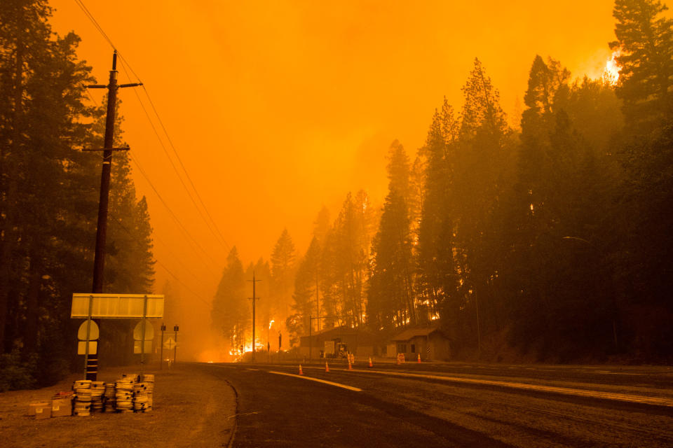 CALIFORNIA, UNITED STATES - 2021/07/24: Active flames reach highway 70.
The Dixie fire continues to burn in California burning over 180,000 acres with 20% containment. (Photo by Ty O'Neil/SOPA Images/LightRocket via Getty Images)