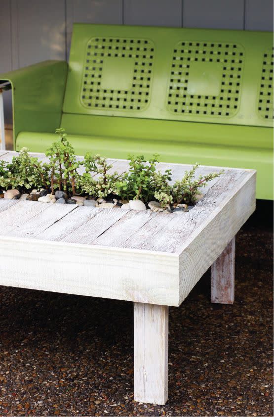 Plant-Filled Furniture